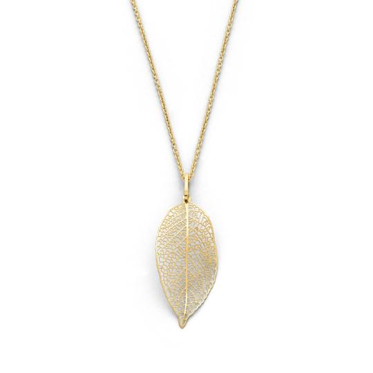Chloris